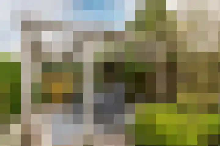 Dam 1 a Strijen thumbnail 37