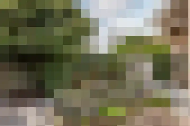 Dam 1 a Strijen thumbnail 38