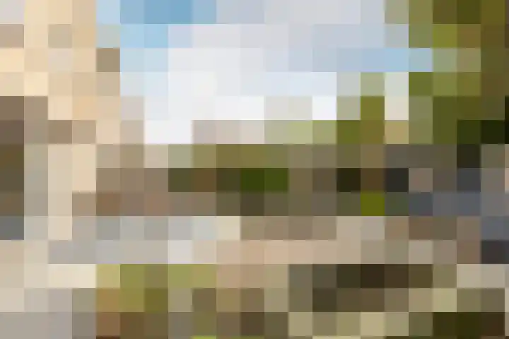 Dam 1 a Strijen thumbnail 4