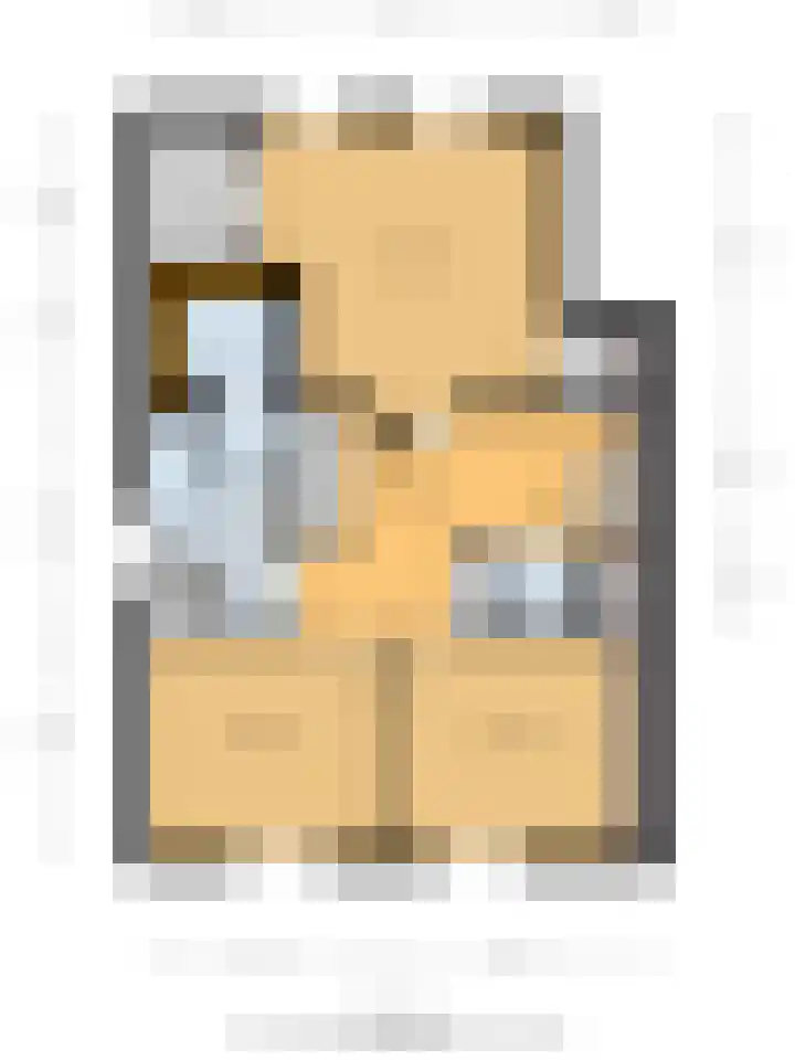 Dam 1 a Strijen thumbnail 40