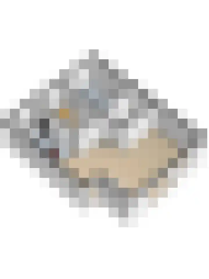 Dam 1 a Strijen thumbnail 43