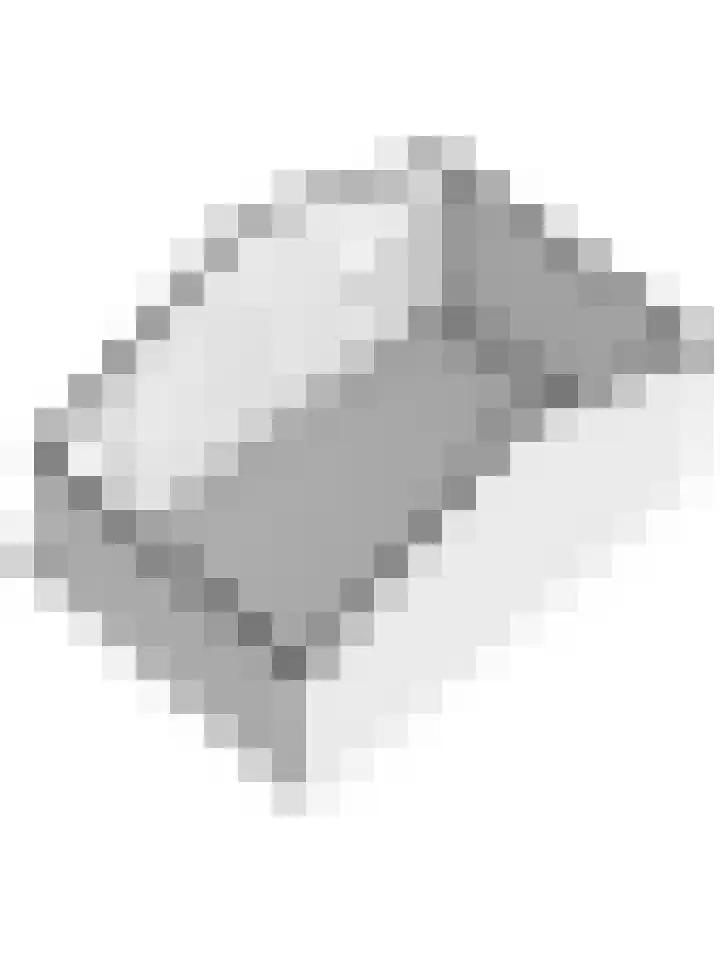 Dam 1 a Strijen thumbnail 46