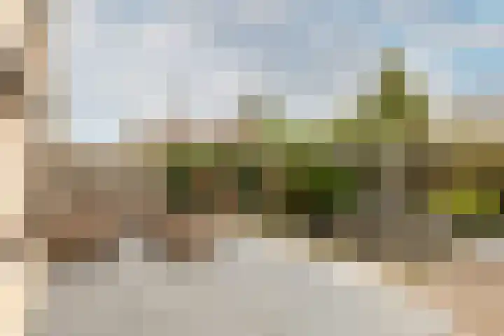Dam 1 a Strijen thumbnail 5