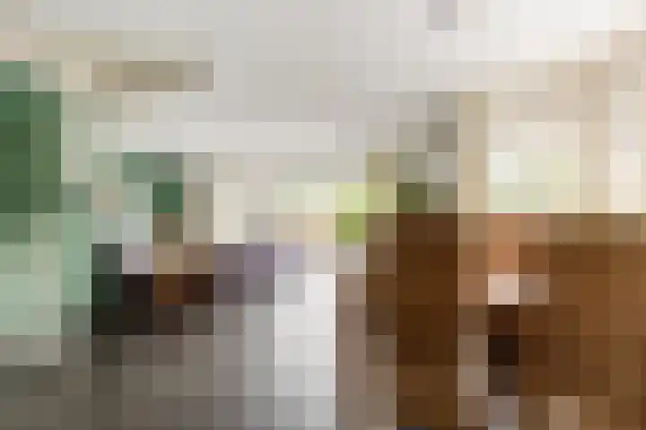 Dam 1 a Strijen thumbnail 7