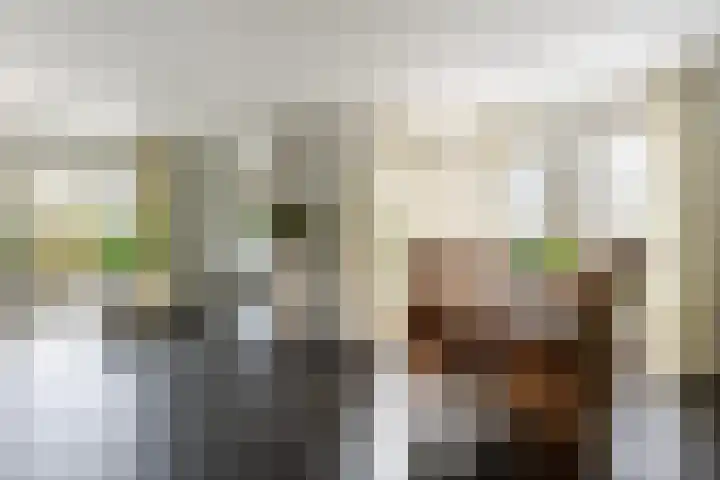 Dam 1 a Strijen thumbnail 8