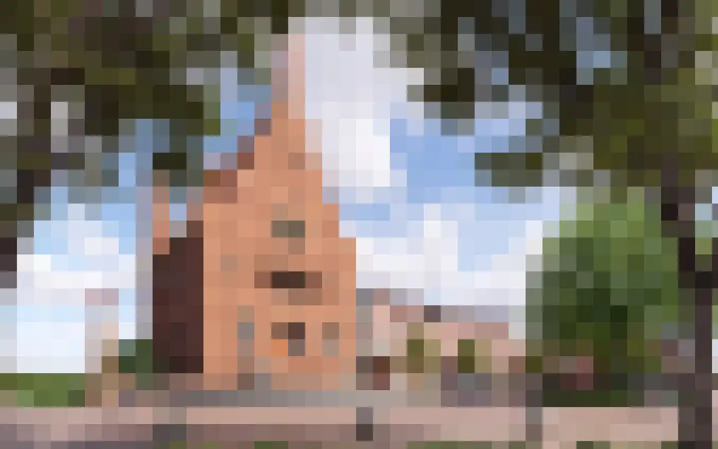 Dam 10 Medemblik thumbnail 7
