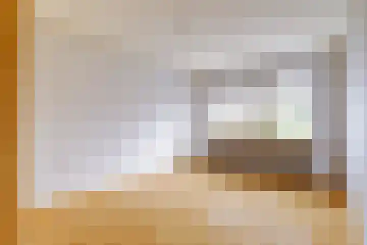 Dam 12 Wervershoof thumbnail 10