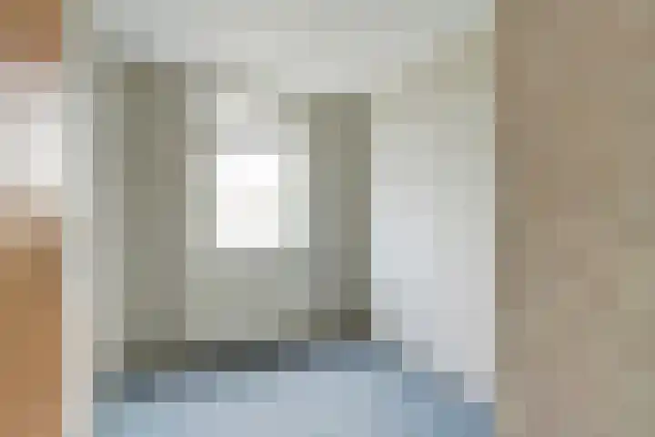 Dam 12 Wervershoof thumbnail 12