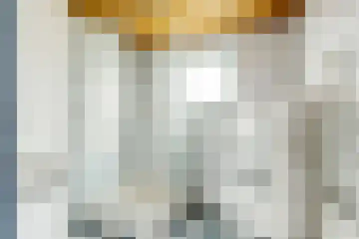 Dam 12 Wervershoof thumbnail 13