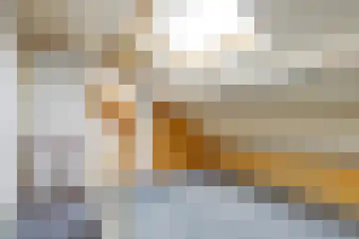 Dam 12 Wervershoof thumbnail 15