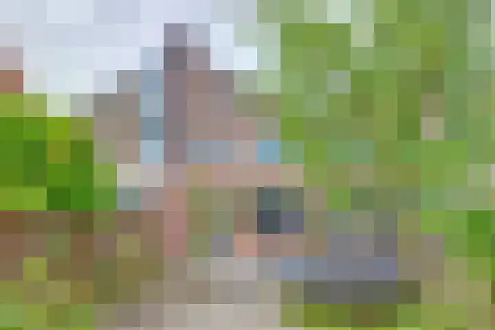 Dam 12 Wervershoof thumbnail 18