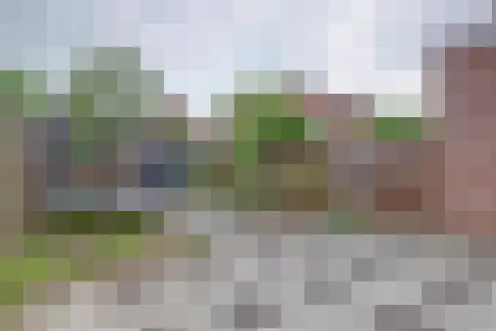 Dam 12 Wervershoof thumbnail 20