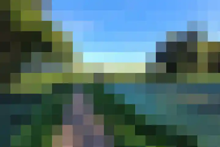Dam 12 Wervershoof thumbnail 23