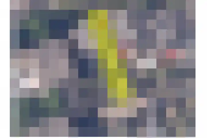 Dam 12 Wervershoof thumbnail 26