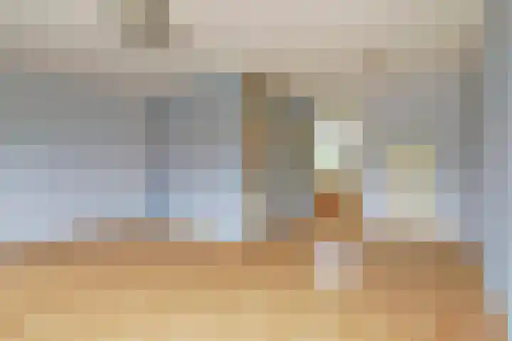 Dam 12 Wervershoof thumbnail 4