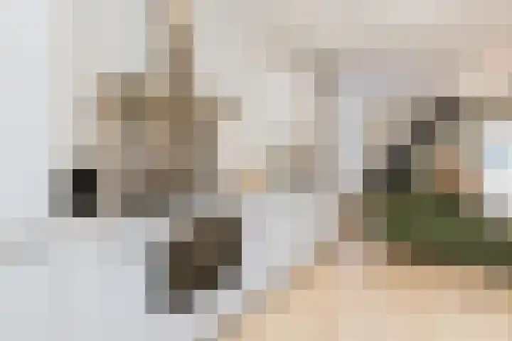 Dam 13 A Schiedam thumbnail 13