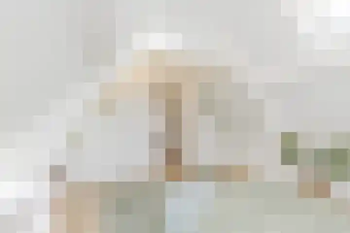 Dam 13 A Schiedam thumbnail 35