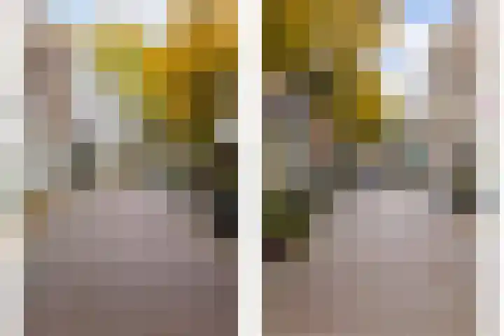 Dam 13 A Schiedam thumbnail 40