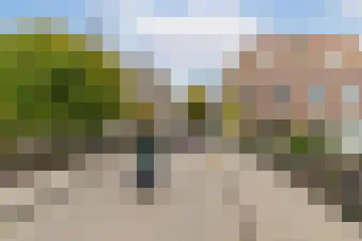 Dam 13 A Schiedam thumbnail 6