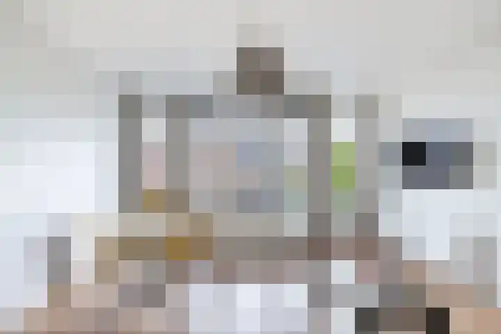 Dam 26 a Zaandam thumbnail 11