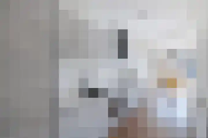 Dam 26 a Zaandam thumbnail 23