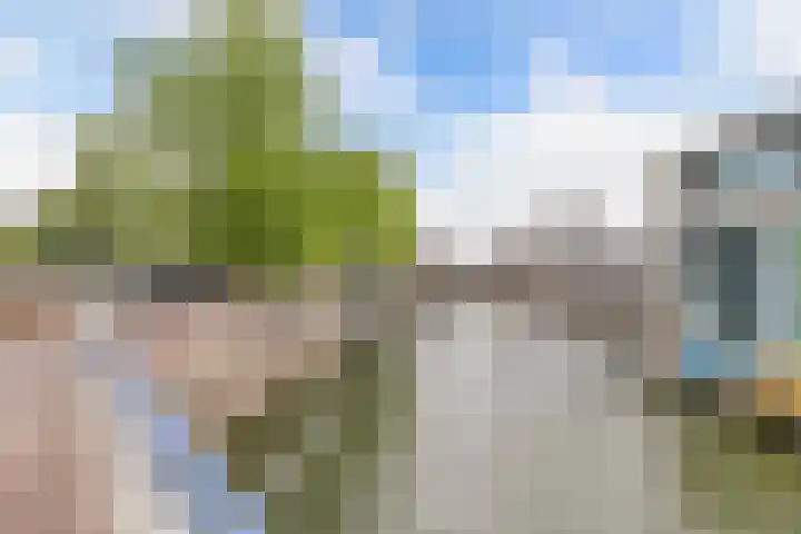 Dam 26 a Zaandam thumbnail 26