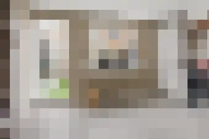 Dam 3 A Ameide thumbnail 15