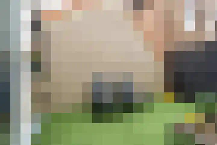 Dam 3 A Ameide thumbnail 16