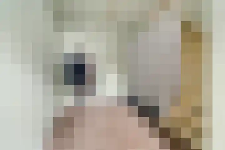 Dam 3 A Ameide thumbnail 28