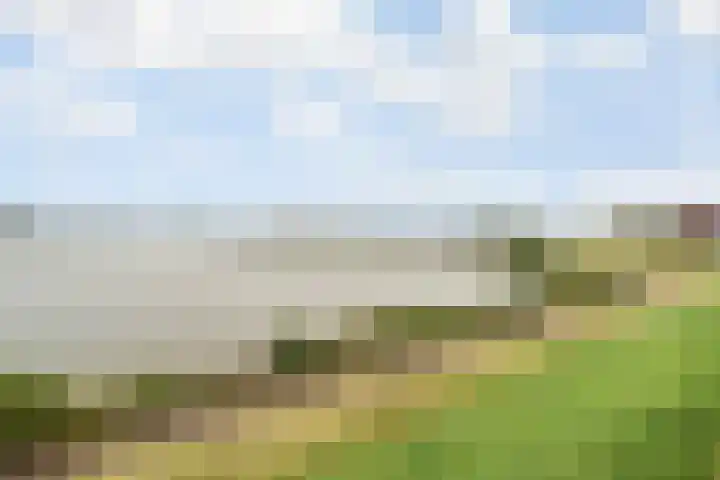 Dam 3 A Ameide thumbnail 37