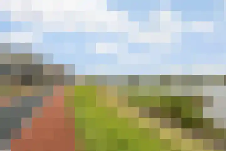 Dam 3 A Ameide thumbnail 38
