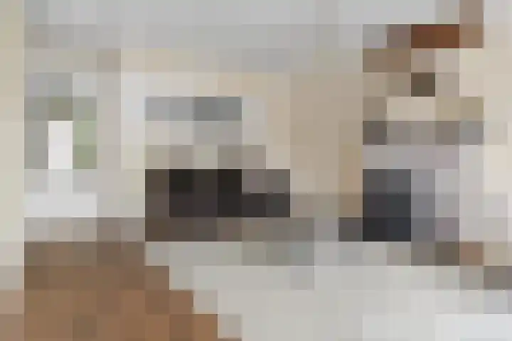 Dam 3 A Ameide thumbnail 5