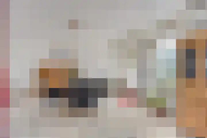 Dam 30 Oss thumbnail 4
