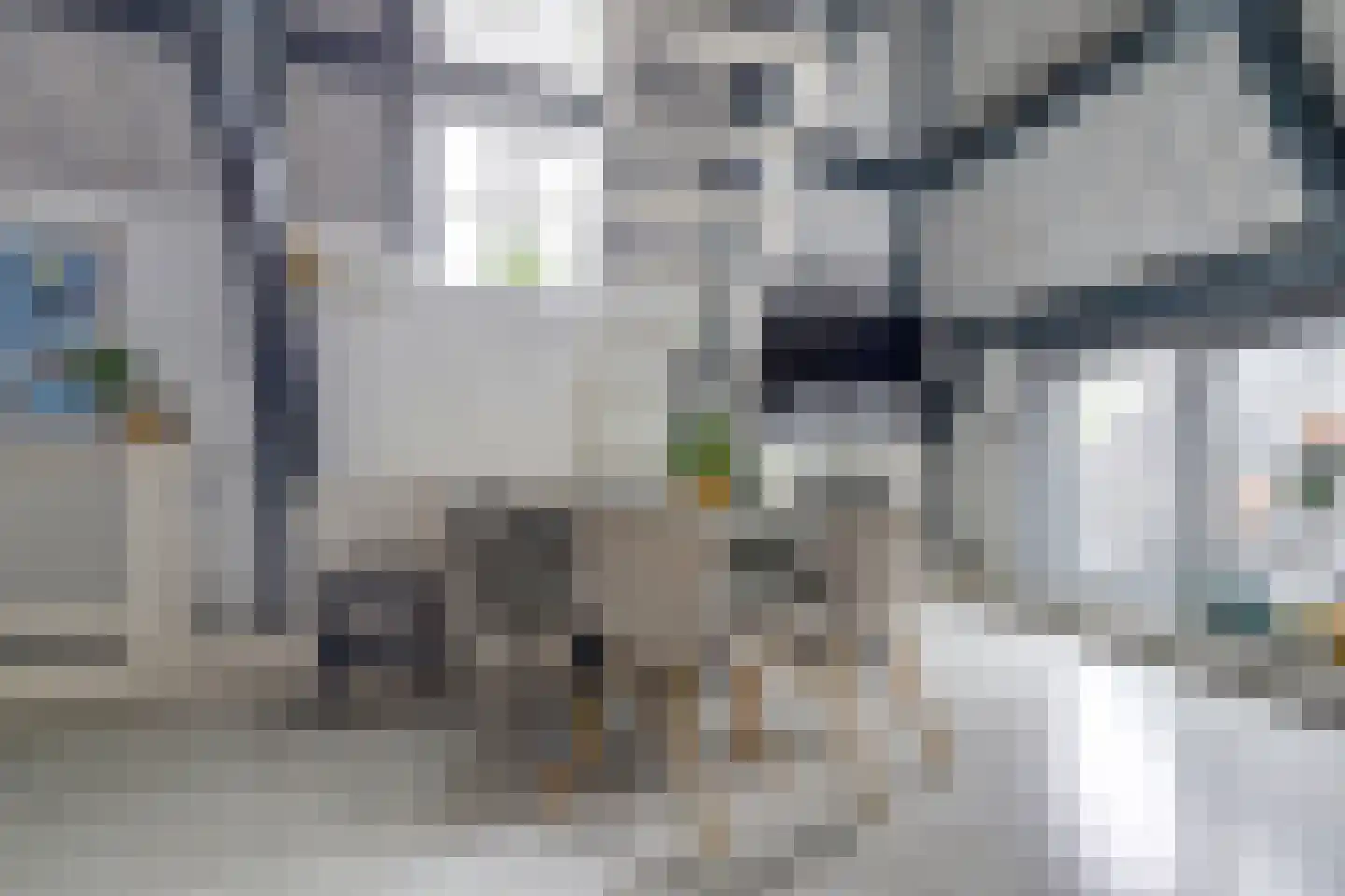 Dam 43 E Middelburg thumbnail 13