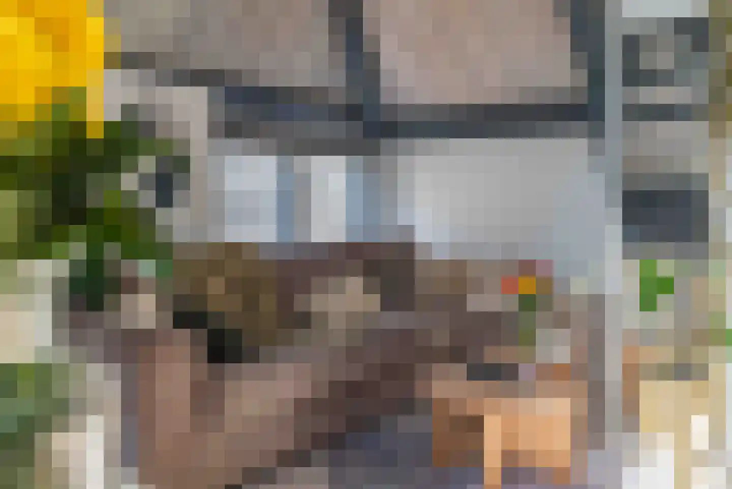 Dam 43 E Middelburg thumbnail 9