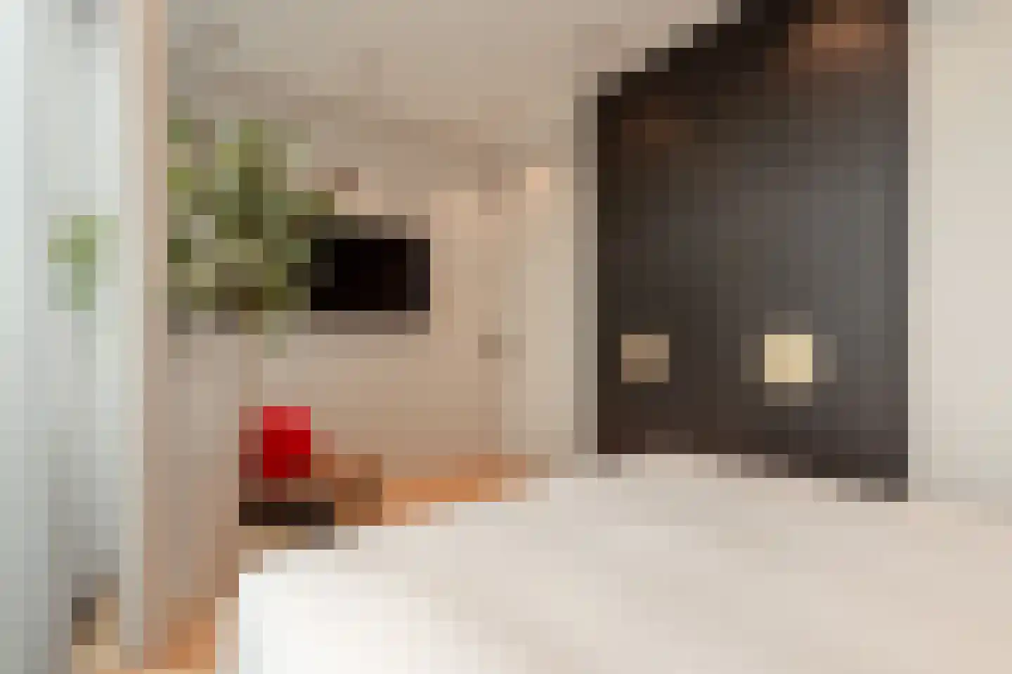 Dam 5 U Amsterdam thumbnail 26