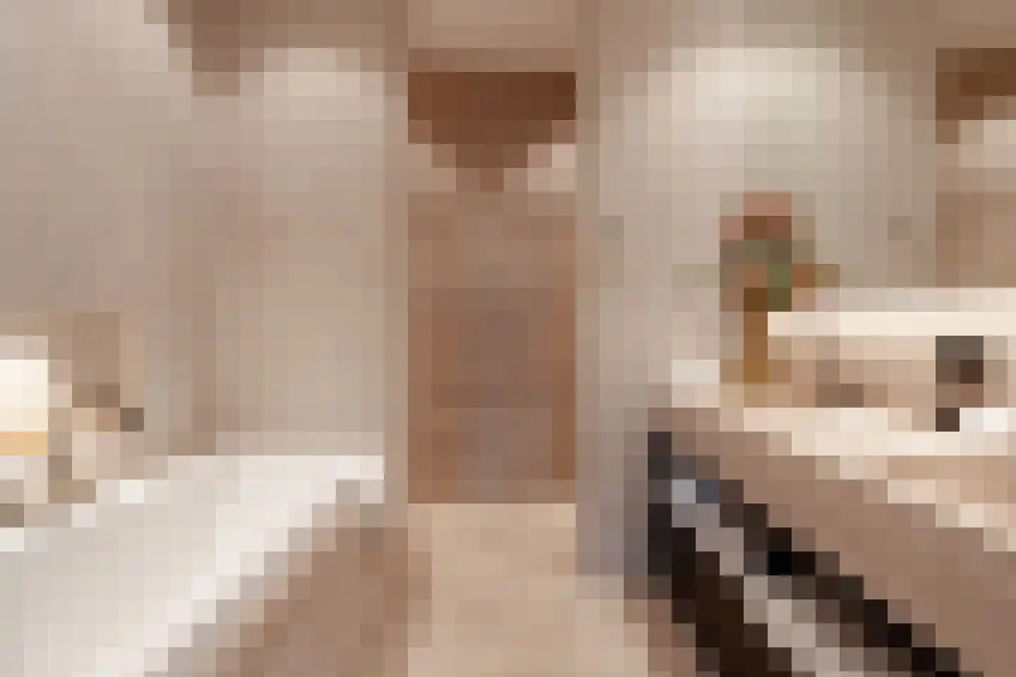Dam 5 U Amsterdam thumbnail 29