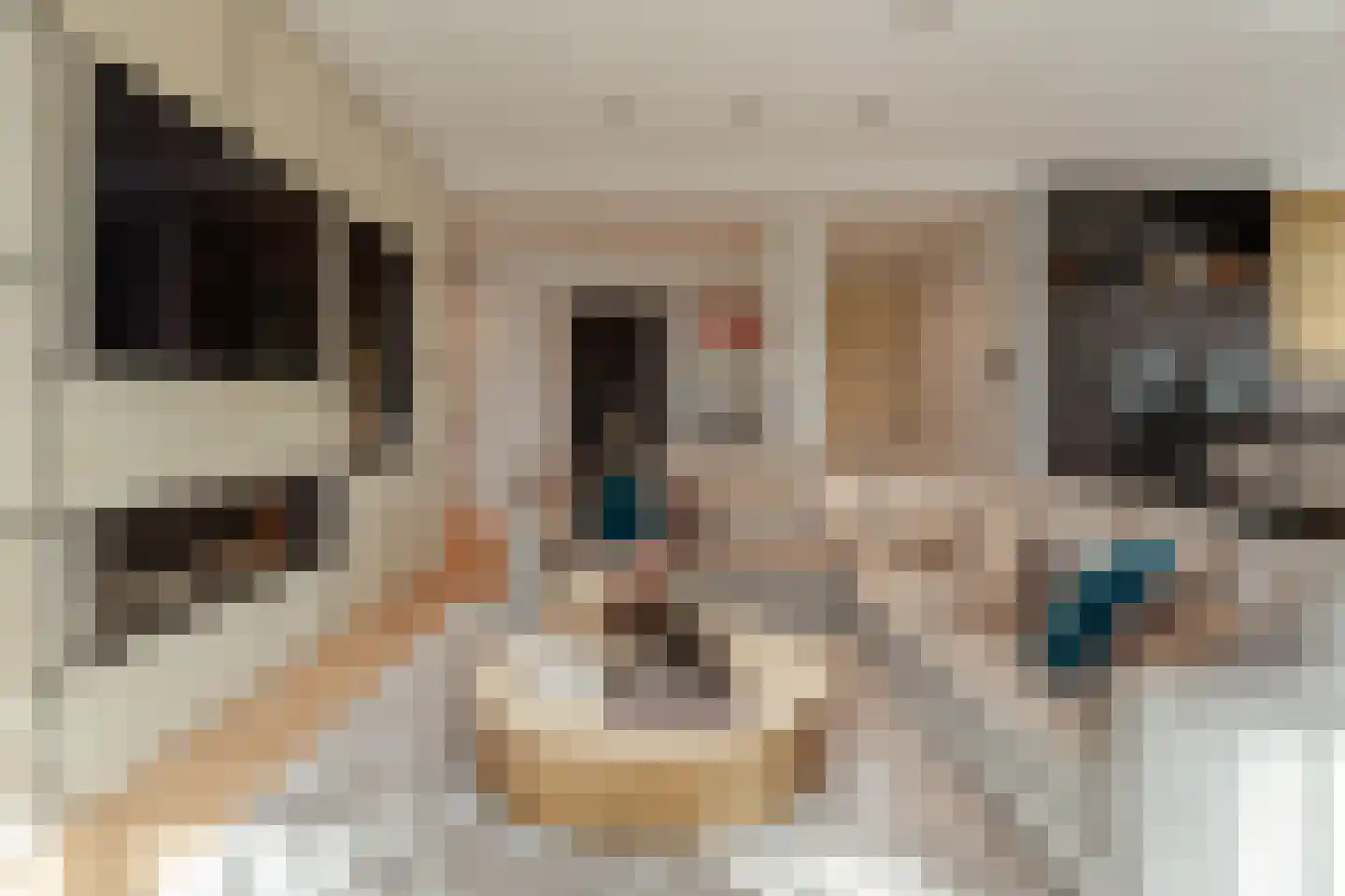 Dam 5 U Amsterdam thumbnail 8