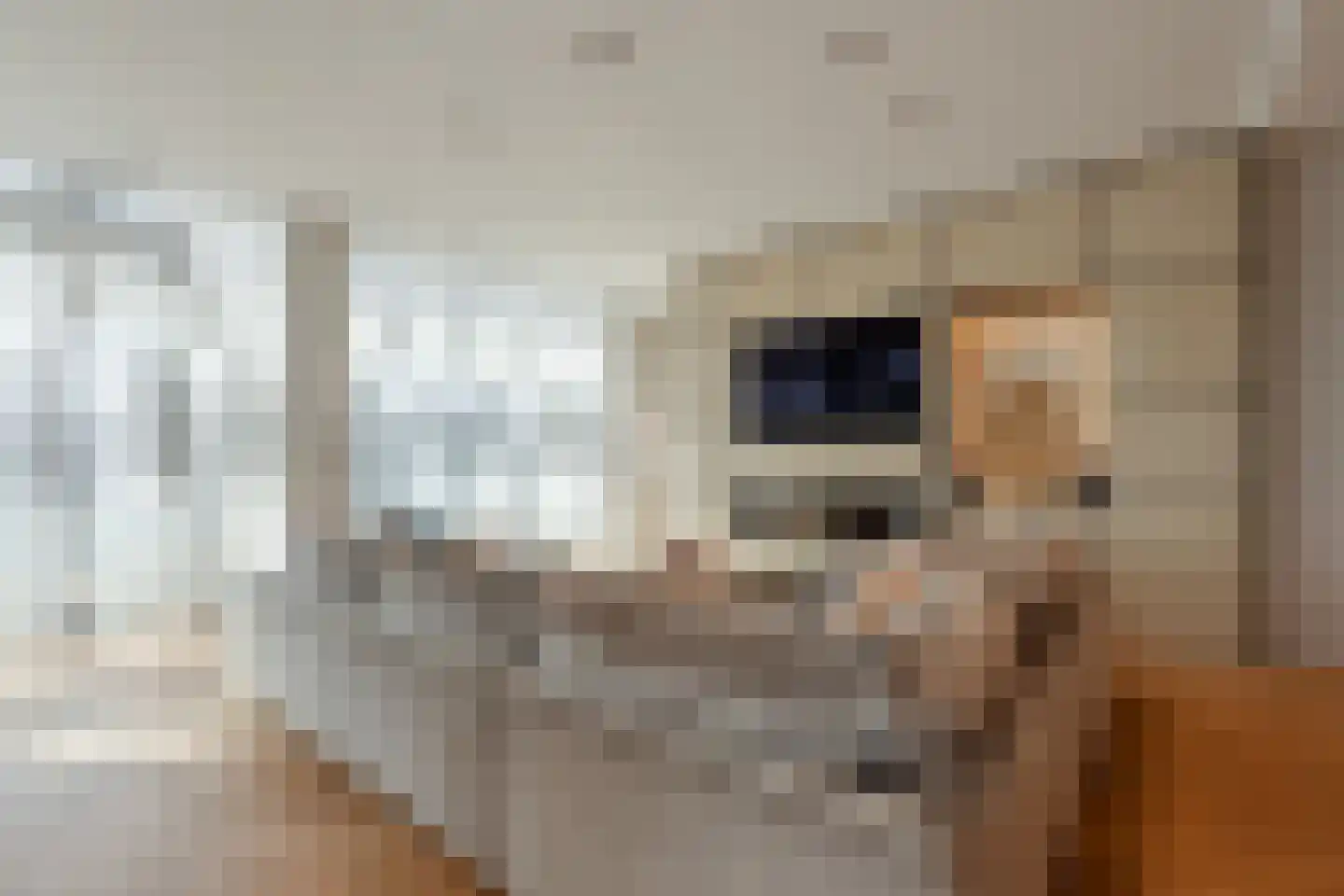 Dam 5 U Amsterdam thumbnail 9