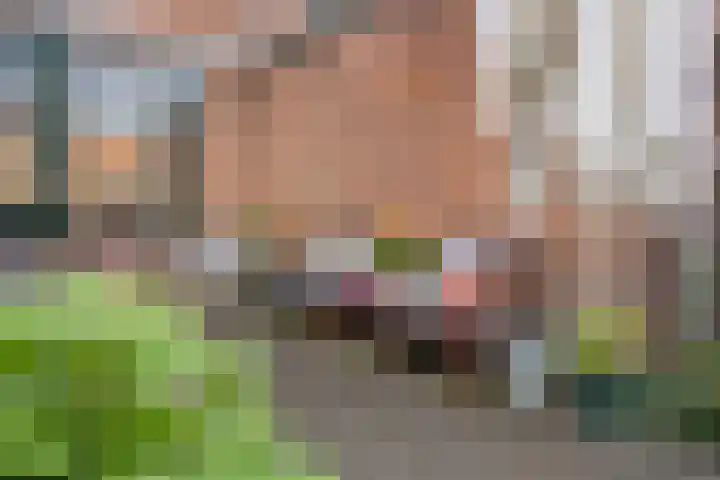 Dam 59 Arkel thumbnail 16