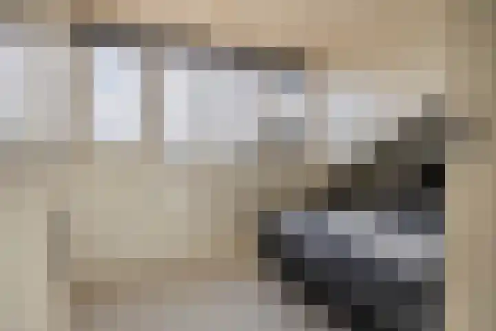 Dam 59 Arkel thumbnail 30
