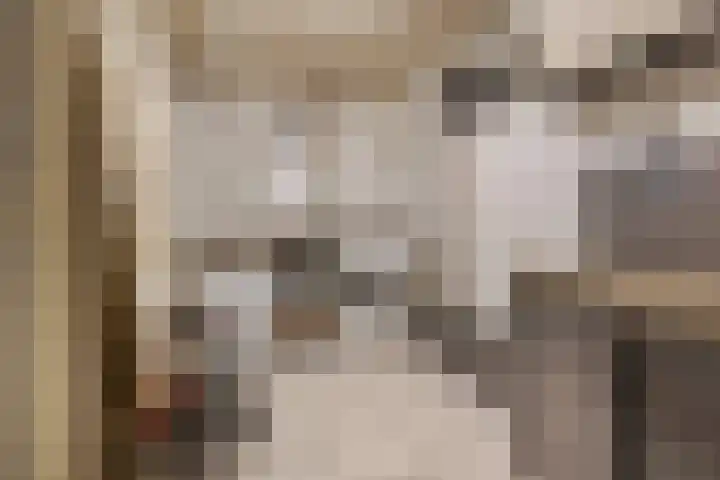 Dam 59 Arkel thumbnail 35