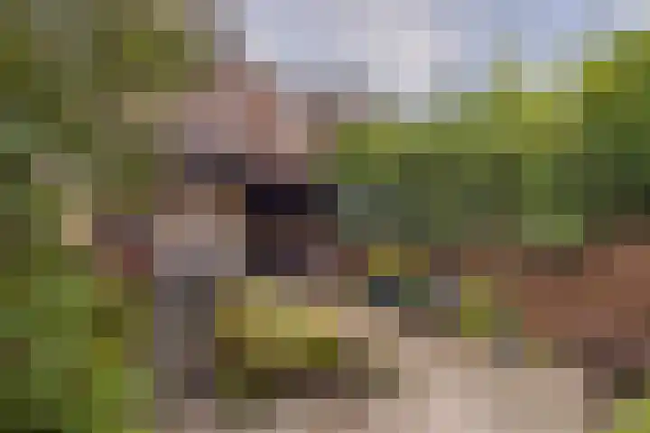 Dam 59 Arkel thumbnail 36