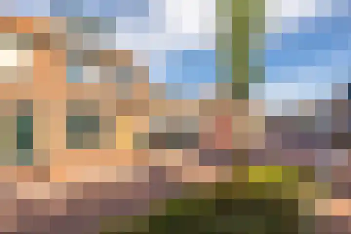 Dam 59 Arkel thumbnail 37