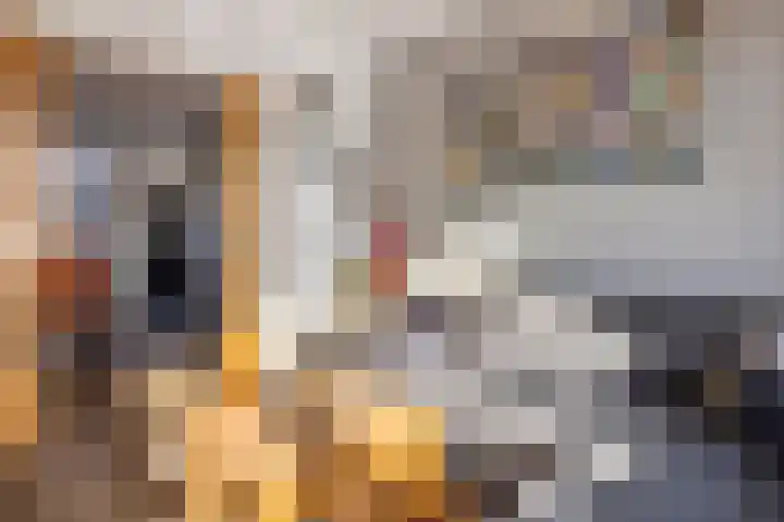 Dam 59 Arkel thumbnail 6
