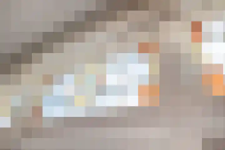 Dam 59 Arkel thumbnail 8