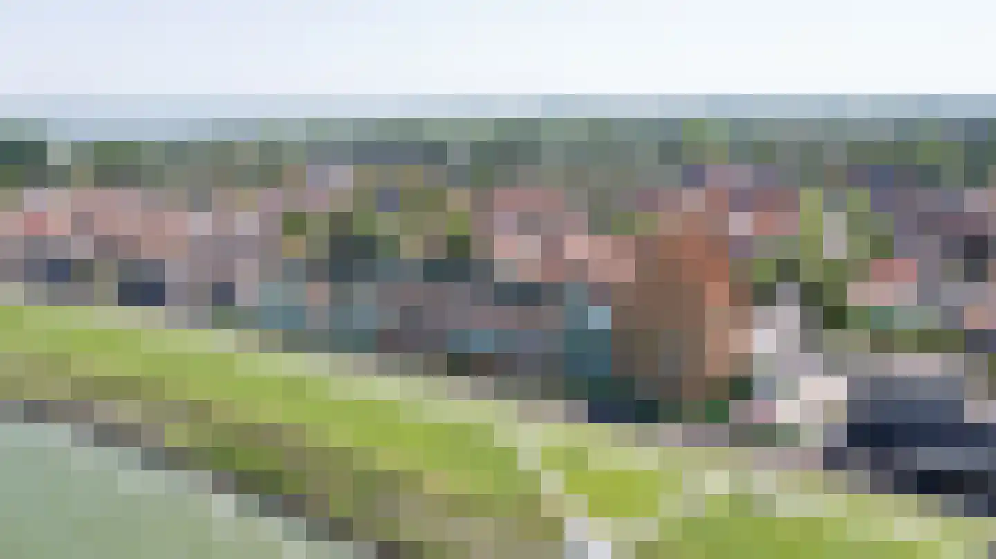 Dam 8 Medemblik thumbnail 8