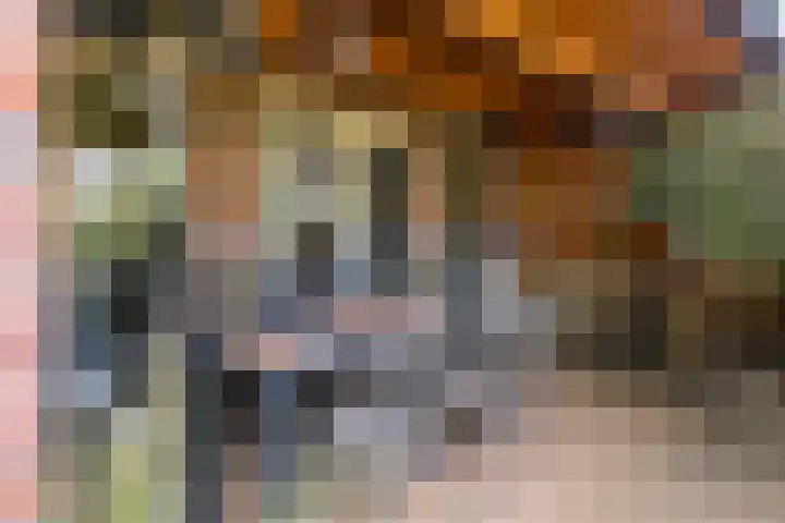 Damast 5 Almelo thumbnail 15
