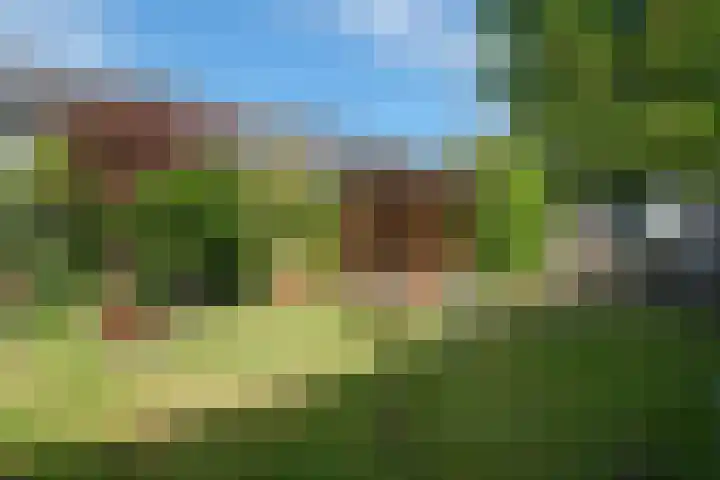 Damast 5 Almelo thumbnail 16