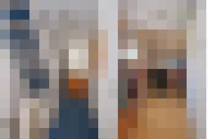 Damast 5 Almelo thumbnail 18
